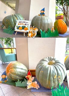 秋近し おばけかぼちゃ