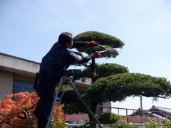 中庭のリフレッシュ!!