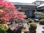 四季を感じる楠庵の中庭