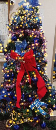 えがおの家 藤井寺