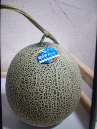 えがおの家 藤井寺