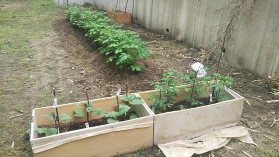 サンシャインコート豊川