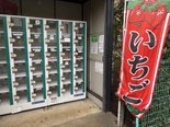 【日常シリーズ】春といえば
