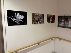 【イベント】写真展、開催🖼️