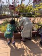 子ども店長とバラを植えました!