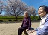 つつじの宿り
