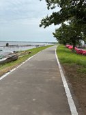 霞ヶ浦湖畔