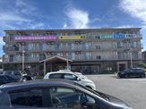 向日葵のひざし幸田