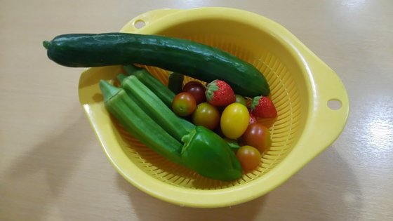 いきいきハウス♪