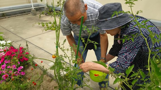 いきいきハウス♪