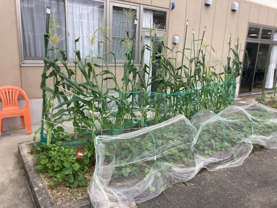 メディケア はなの家
