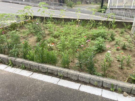 メディケア はなの家
