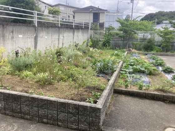 メディケア はなの家