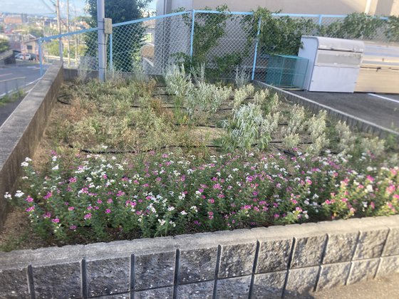 メディケア はなの家