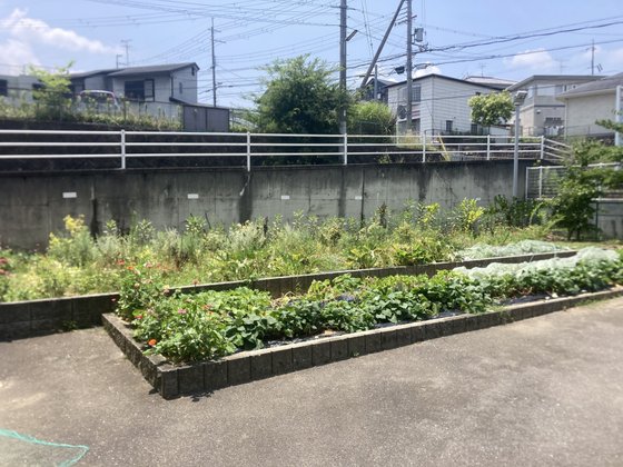 メディケア はなの家