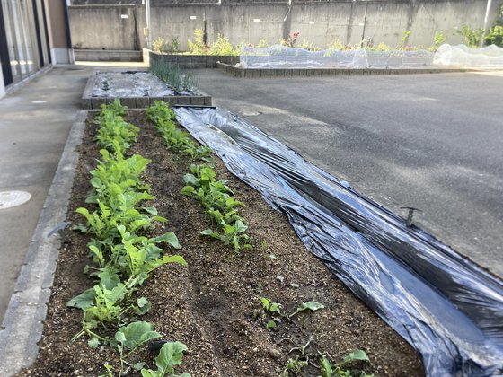 メディケア はなの家