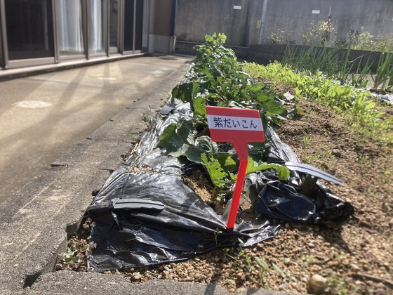 メディケア はなの家