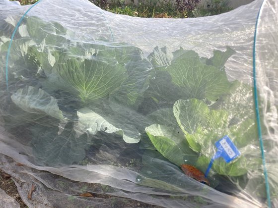 メディケア はなの家