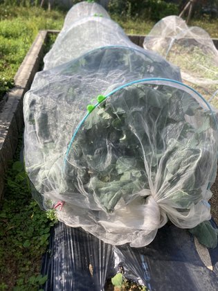 メディケア はなの家