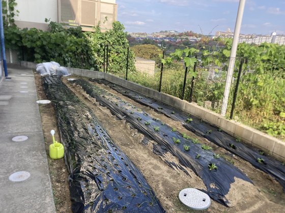 メディケア はなの家