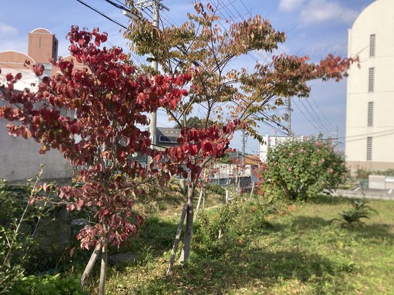 メディケア はなの家