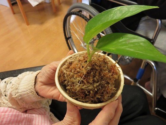 そんぽの家大和田