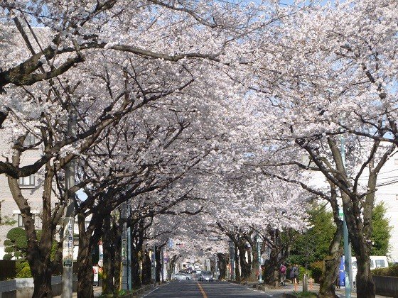 そんぽの家Ｓ大宮