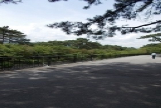 そんぽの家Ｓ夙川香櫨園