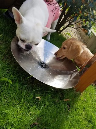 そんぽの家Ｓ京都嵐山