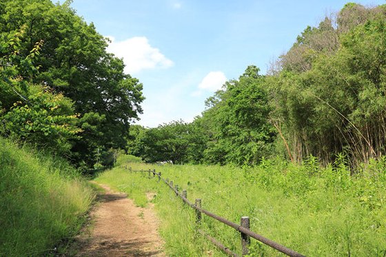 ガーデニアホーム横濱緑