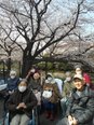 お花見(2022年3月のレクリエーション)