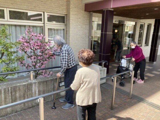 ＳＯＭＰＯケアラヴィーレ光が丘公園