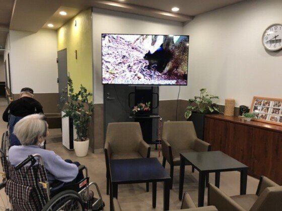 ＳＯＭＰＯケアラヴィーレ光が丘公園