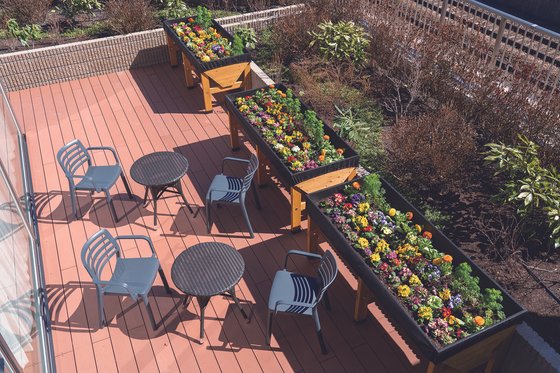 ＳＯＭＰＯケアラヴィーレ堀之内