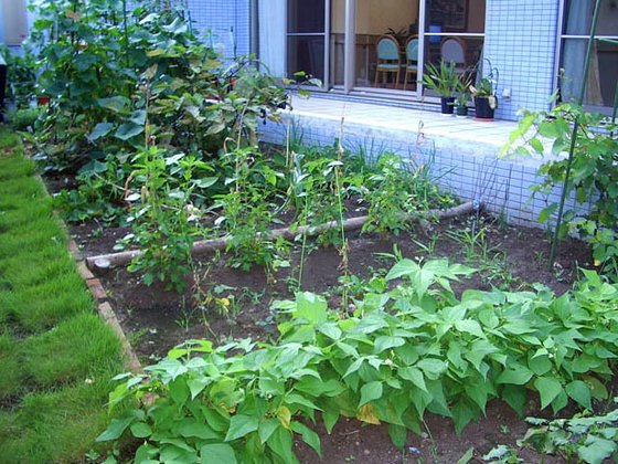 ＳＯＭＰＯケアラヴィーレ高津