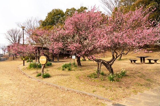 ＳＯＭＰＯケアラヴィーレ横浜洋光台