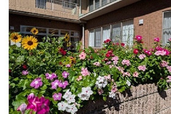 ＳＯＭＰＯケアラヴィーレふじみ野