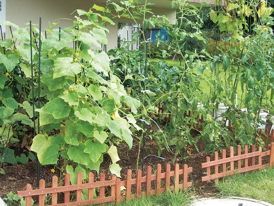 ＳＯＭＰＯケアラヴィーレ大宮