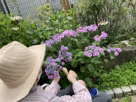ＳＯＭＰＯケアラヴィーレ狛江