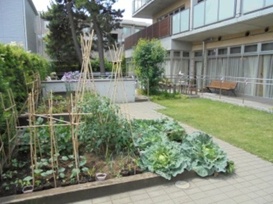 ＳＯＭＰＯケアラヴィーレ南大泉