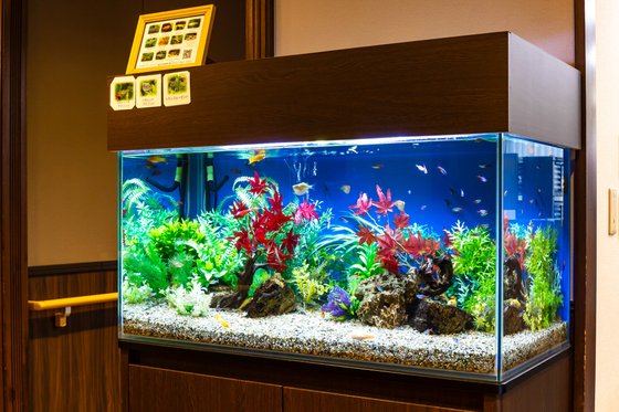 ＳＯＭＰＯケアラヴィーレ南大泉