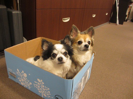 ＳＯＭＰＯケアラヴィーレ横須賀