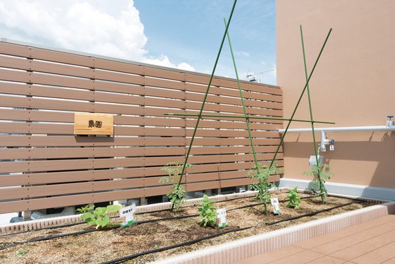 ＳＯＭＰＯケアラヴィーレ練馬