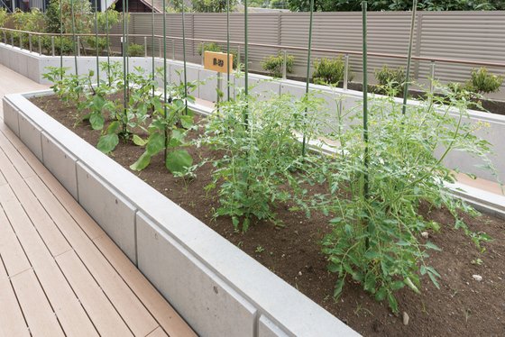 ＳＯＭＰＯケアラヴィーレ府中