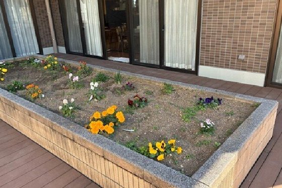 ＳＯＭＰＯケアラヴィーレ狭山