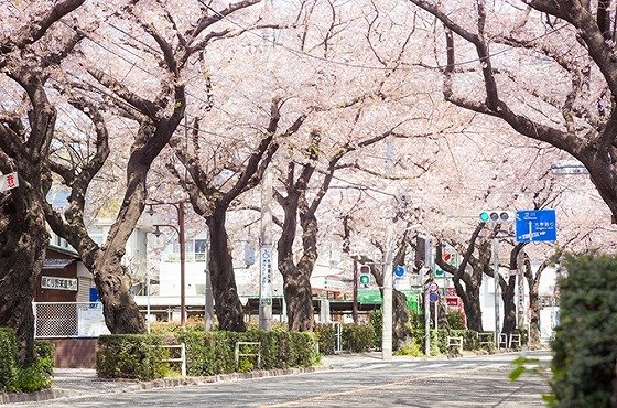 ＳＯＭＰＯケアラヴィーレ国立矢川