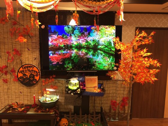 ＳＯＭＰＯケアラヴィーレ羽村