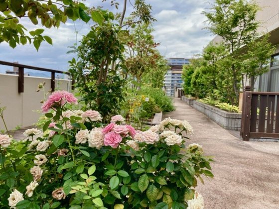 ＳＯＭＰＯケアラヴィーレ平和公園