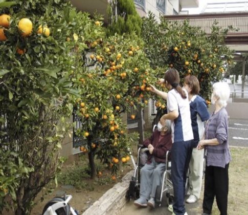 有料老人ホーム 百々花
