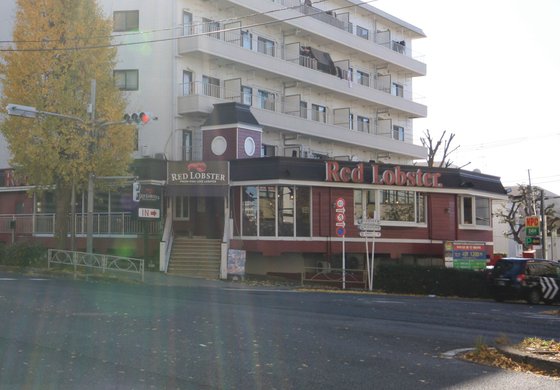 やすら樹ケアレジデンス桜川